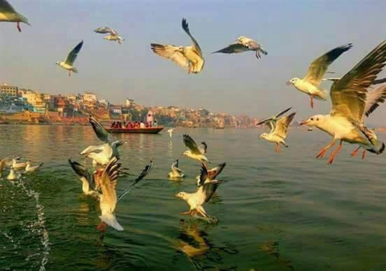 Shiva Ganges View Guest House Varanasi Exterior foto